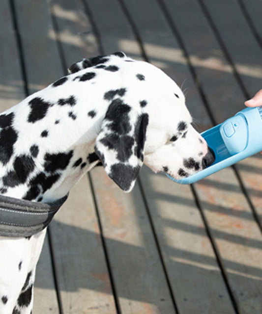 アウトドア携帯 犬用水コップ（フィルター付き）